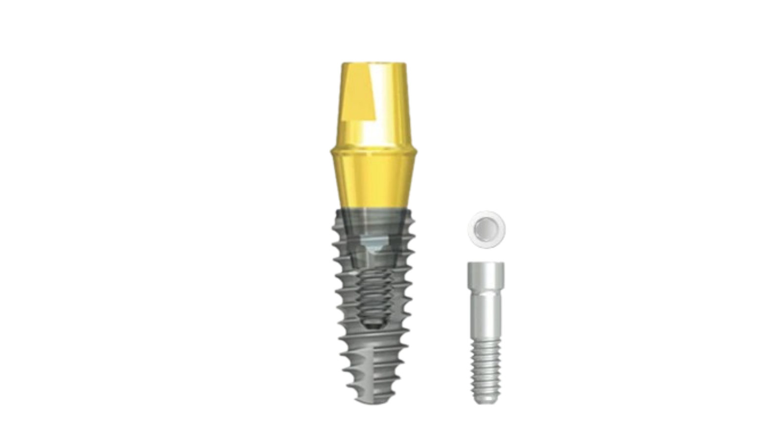 IS Cemented Abutment (SCRP)