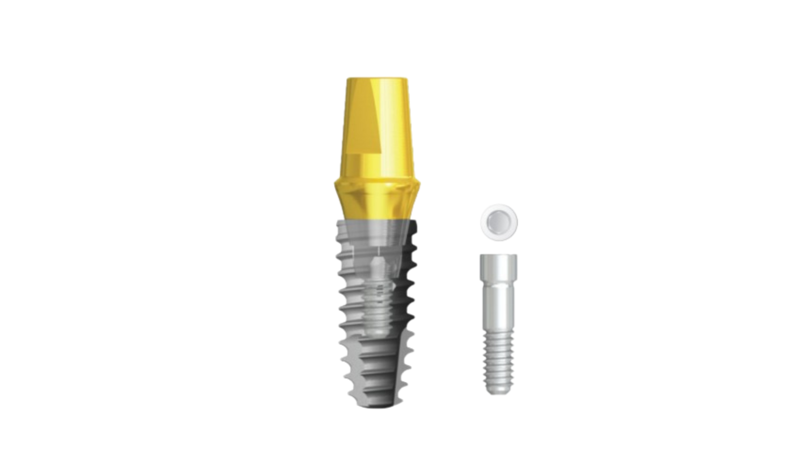 IS Shapable Abutment